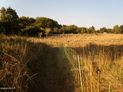 Petit sentier en bordure du plateau sommital